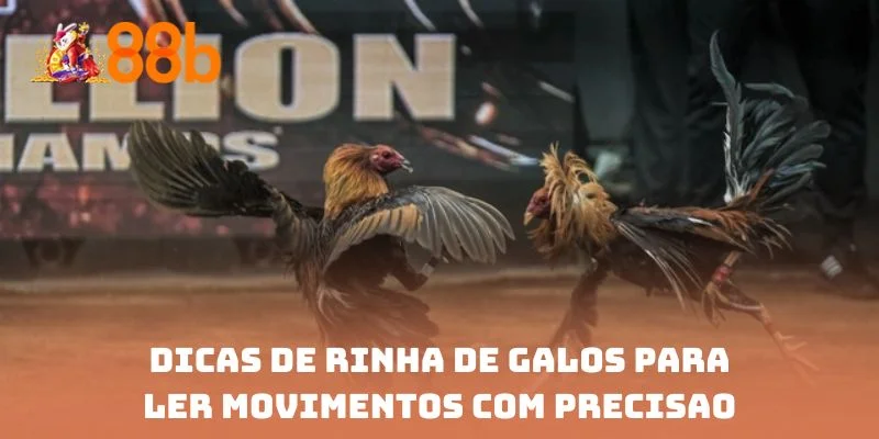 Dicas de rinha de galos para ler movimentos com precisão